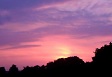 Bright Sunset (6).JPG